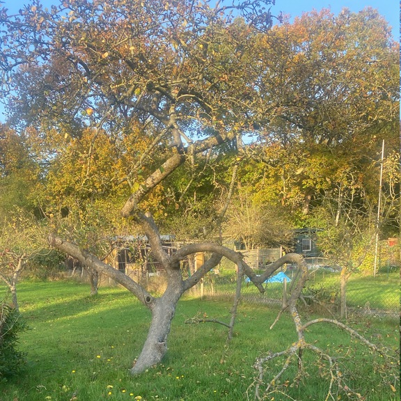 BahnLandwirtschaft Hamburg e.V. Kleingärten im Norden